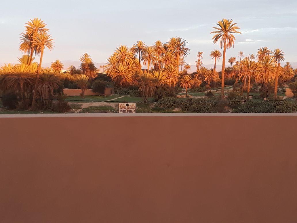 Riad Janoub Tiznit Exterior foto